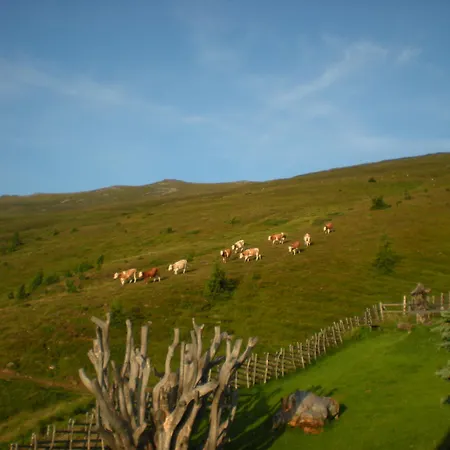 Kisela Δωμάτια σε οικογενειακή κατοικία *