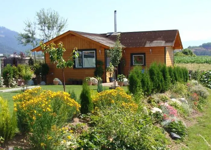 Kisela Séjour chez l'habitant