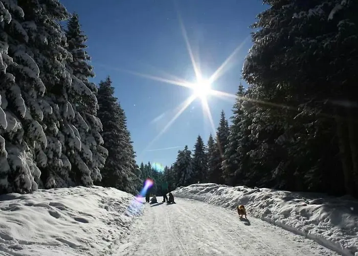 Séjour chez l'habitant Kisela *